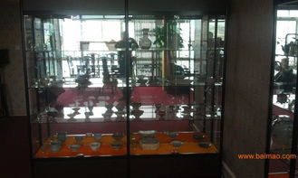 福州區(qū)域供應優(yōu)質展示柜——專業(yè)生產(chǎn)廠家、合理價格與全面展覽服務
